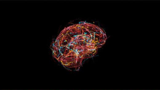 Quantum Brain GIF