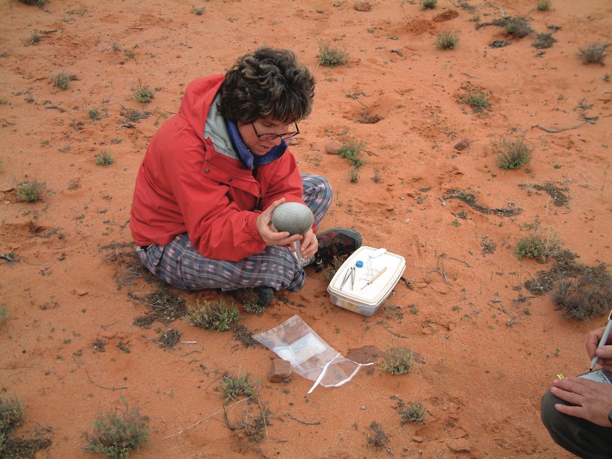 Marilyn Fogel inspects an emu egg