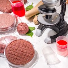 Learn About the Latest Lab Meat Bioprocessing Technology