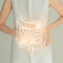 Illuminated drawing of gastrointestinal tract overlayed on woman&rsquo;s hands and torso