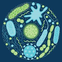 Vector image of turquoise and green bacteria and viruses on a navy-blue background.