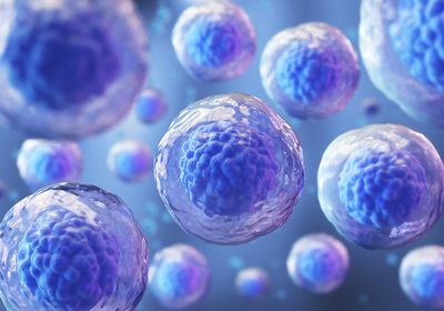 Key Strategies for Better Stem Cell Workflows