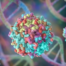 Discover the potential of AAV vectors for gene therapy delivery 