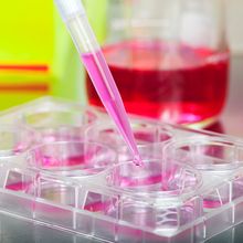 Learn About the Latest Solutions for Filtering Cell Cultures, Fermentation Broths, and Cell Lysates