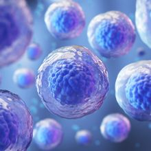 Key Strategies for Better Stem Cell Workflows