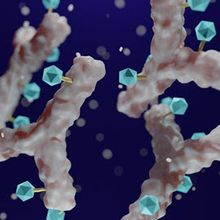 3D rendered image of multiple antibody-drug conjugate next generation antibodies.