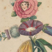 Formed of various flowers, this personification cartoon of a female botanist, painted by George Spratt, was pasted into Allen’s copy of The English Flora.