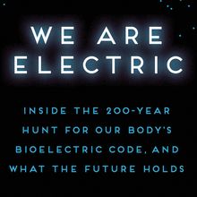 <em>We are Electric</em> book cover