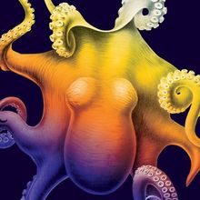 Cover of When Animals Dream: A colourful illustration of an octopus.&lt;br&gt;&lt;br&gt;