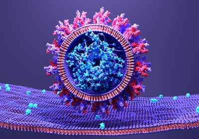 Conceptual image of coronavirus, SARS?Cov?2 infects a human cell