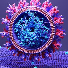 Conceptual image of coronavirus, SARS?Cov?2 infects a human cell