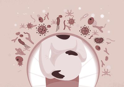 Illustration of pregnancy and the immune system