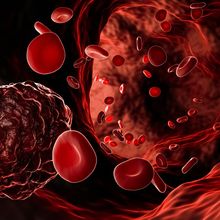 Dark red cancer cells travel through the circulatory system alongside small, brighter-colored red blood cells