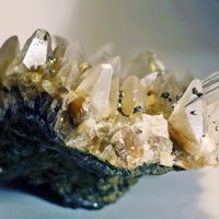Calcite crystals covered in small grains of pyrite, with pincers