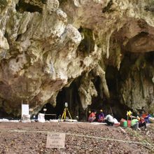 Opening of Leang Panninge cave in Indonesia