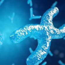 Blue 3D illustration of X-shaped chromosomes
