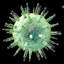 Epstein-Barr virus EBV, a herpes virus which causes infectious mononucleosis and Burkitt's lymphoma isolated on black background. 3D illustration