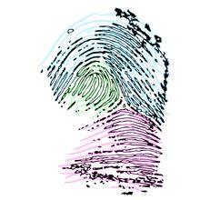 A fingerprint with three sections colored