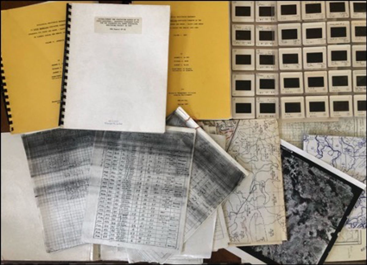 Ecology professor George H. La Roi’s data—collected over 35 years of studying North American boreal forests and stored in notebooks, CD-ROMs, and slides—are now preserved by the Living Data Project.