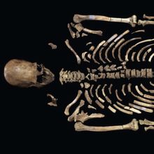 A photo of a skeleton on a black background
