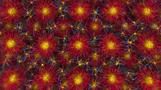 A view of nanoparticles in a crystalline pattern.