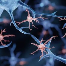 illustration of neurons in blue and microglia in orange