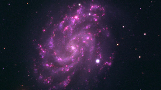 Supernova in galaxy NGC 5584.