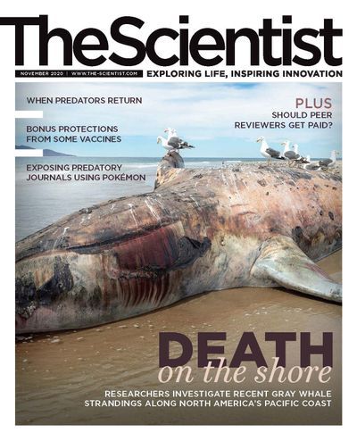 The Scientist's Magazine Cover