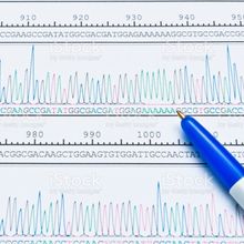 Chromatogram peaks of a DNA sequencing analysis.