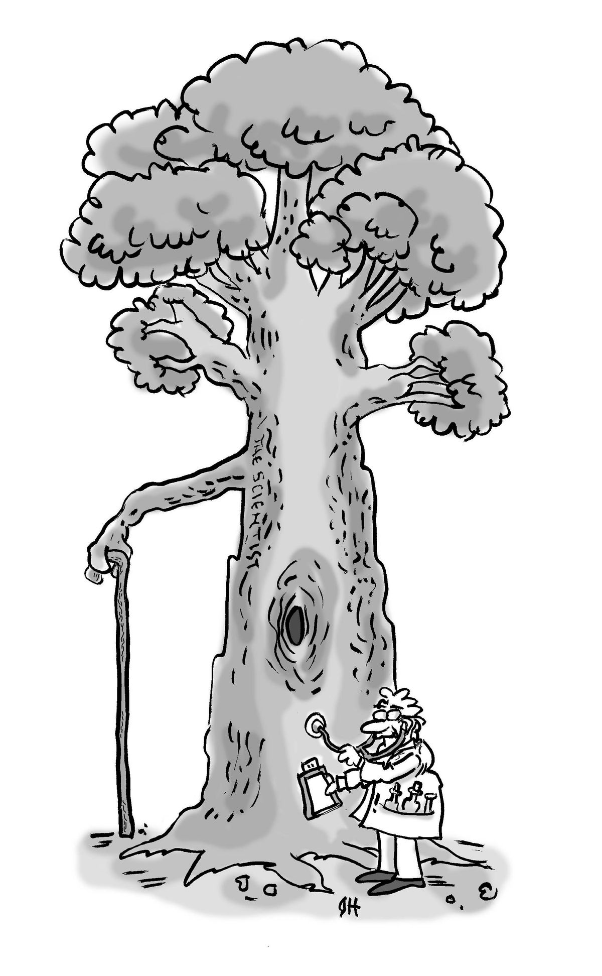 Cartoon of a doctor performing a check-up on an old tree holding a wooden cane.