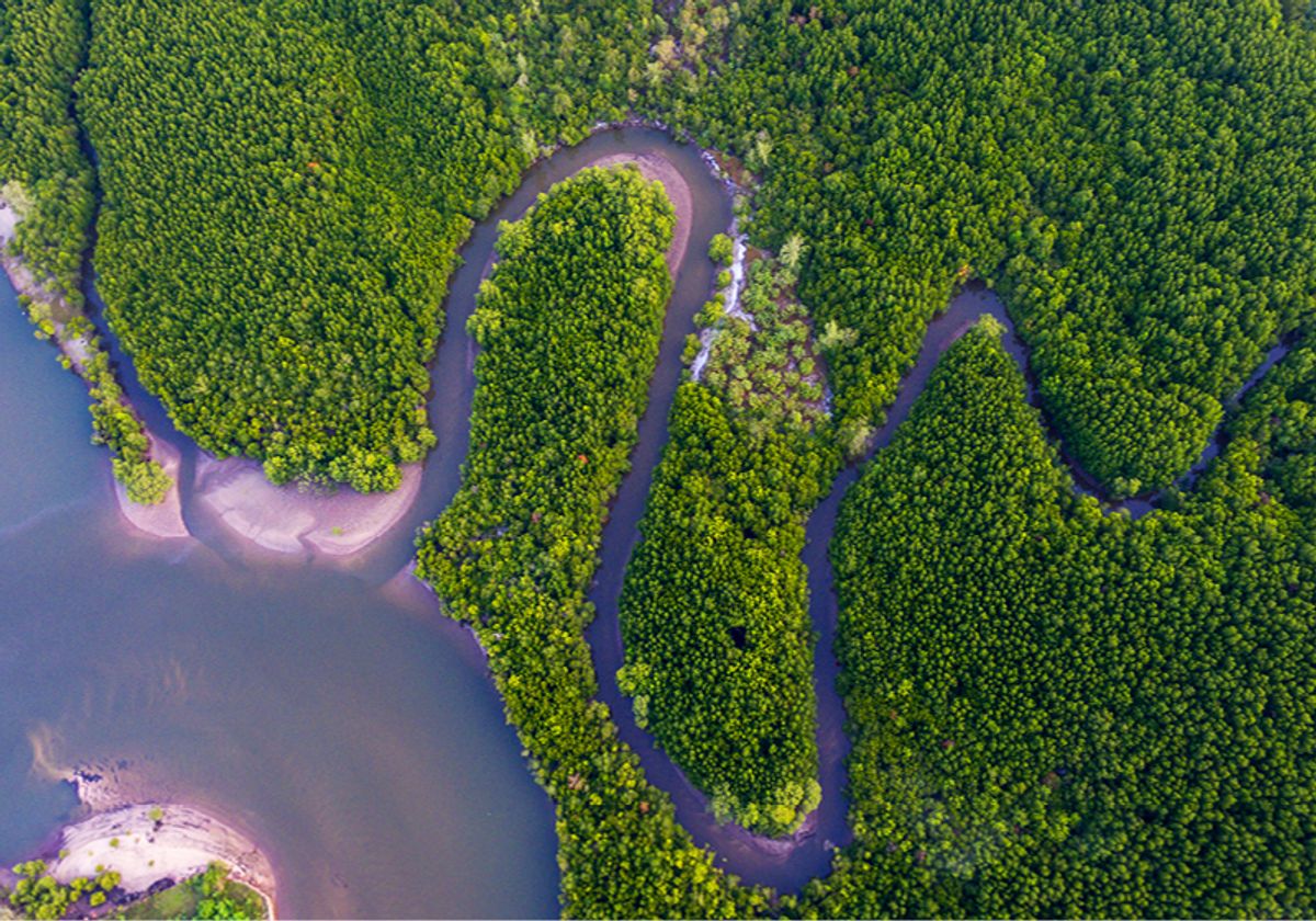 Arial view of a water canal winding through a forest and spilling into the ocean.