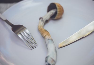 A psychedelic mushroom on a plate with a fork and knife