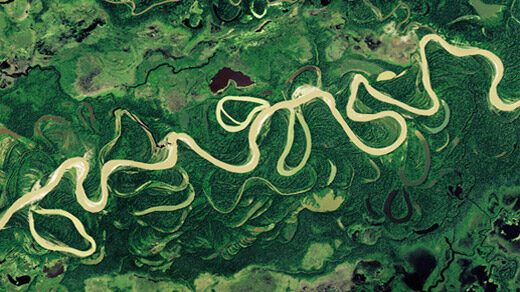 A satellite photo of the complex of rivers in the Amazon.