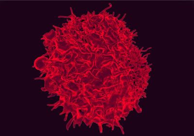 Red T cell