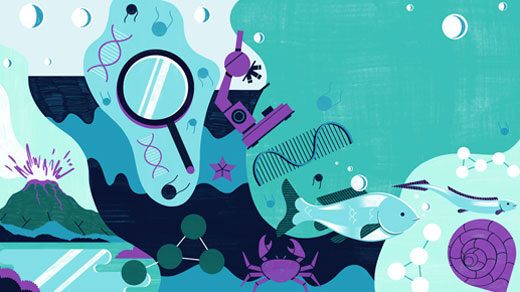 Illustration of icons that relate to life’s origins: a volcano, molecules, a crab, fish, DNA and more.
