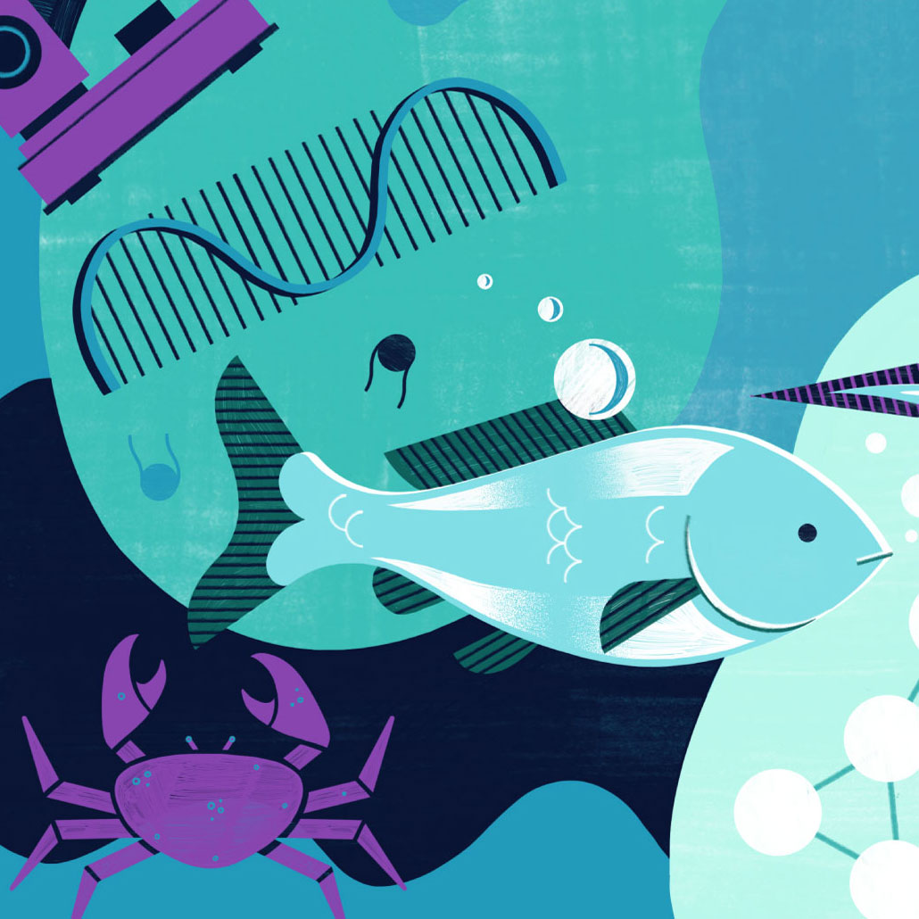 Illustration of icons that relate to life’s origins: a volcano, molecules, a crab, fish, DNA and more.