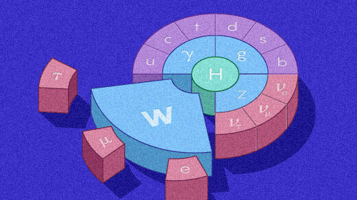 Illustration in which the particles of the Standard Model are arranged as sections of a circle, but the W boson is too big and doesn’t fit.]