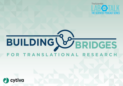 Building Bridges podcast logo