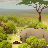 Infographic: Herbivore Dung Nutrients Vary Across the Savanna
