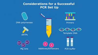 PCR setup thumbnail