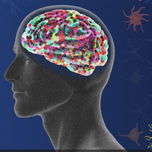 Mosaic brain image